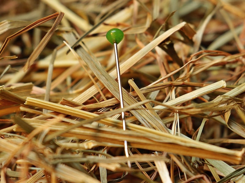 Unusual Finds