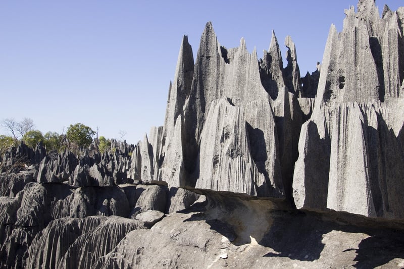 Stone Forest in Madagascar